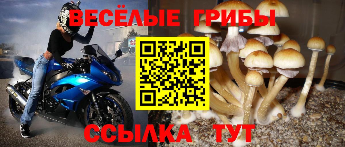 Галлюциногенные грибы мухоморы  Вход с VPN  Анапа  Галлюциногенные грибы ЛСД 
